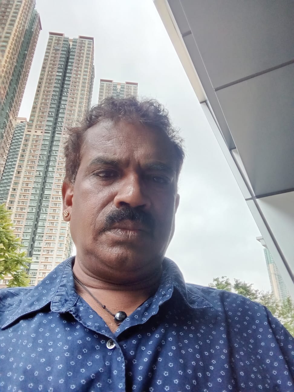 Mohan 